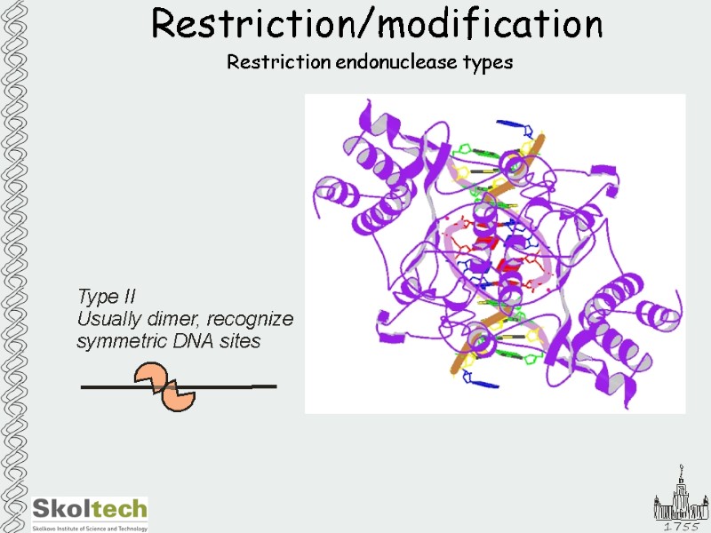 Restriction/modification Restriction endonuclease types